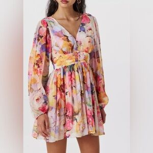 NWOT Nobody’s Child Anya Floral Long Sleeve mini Dress